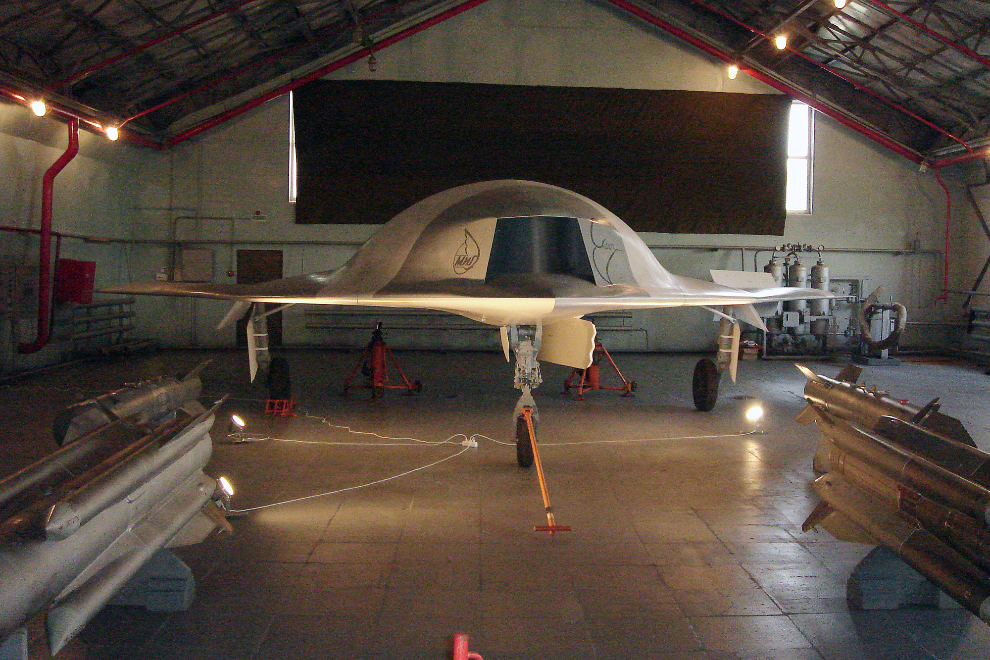 Скат DSC06599.jpg