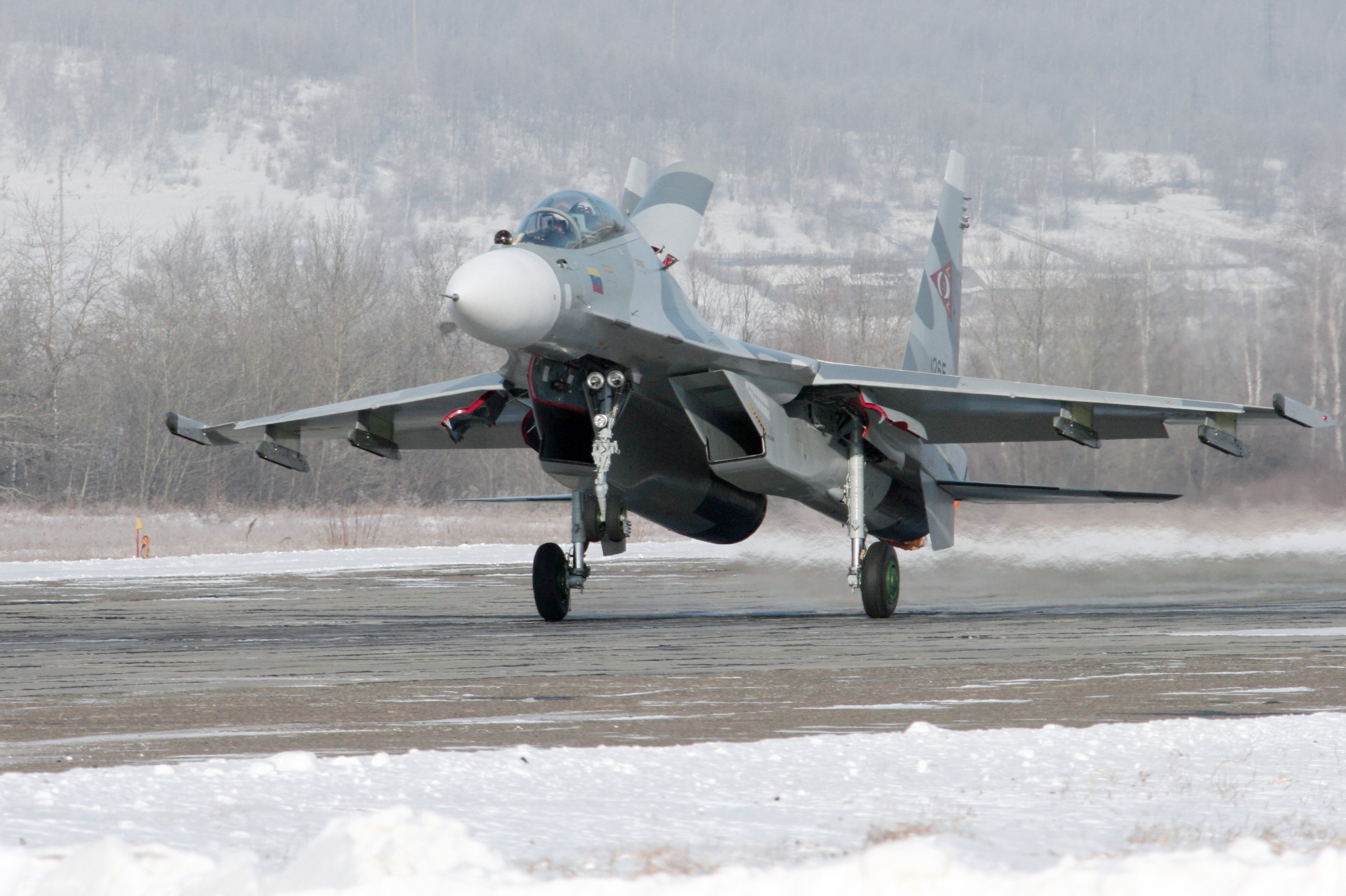 su30mk2.jpg